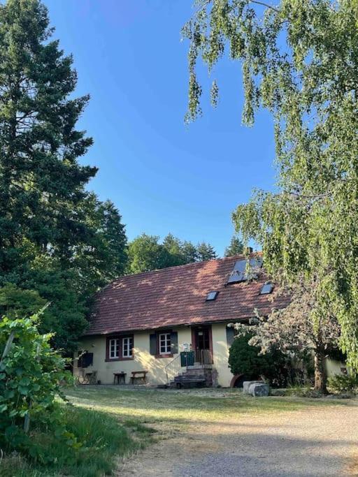 Rebhaus Durbach Villa Buitenkant foto